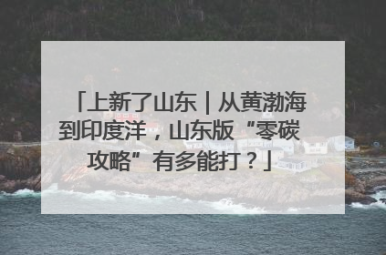 上新了山东｜从黄渤海到印度洋，山东版“零碳攻略”有多能打？