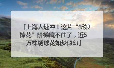 上海人速冲！这片“新娘捧花”阶梯藏不住了，近5万株绣球花如梦似幻