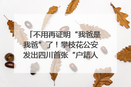 不用再证明“我爸是我爸”了！攀枝花公安发出四川首张“户籍人口直系亲属关系谱”