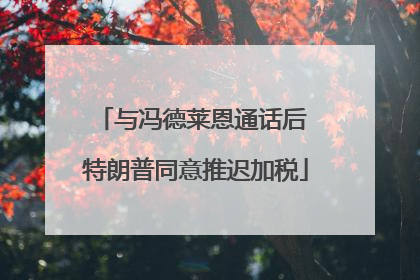 与冯德莱恩通话后 特朗普同意推迟加税
