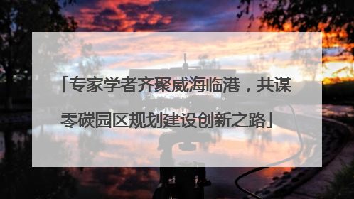 专家学者齐聚威海临港，共谋零碳园区规划建设创新之路