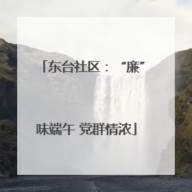 东台社区：“廉”味端午 党群情浓