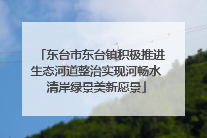 东台市东台镇积极推进生态河道整治实现河畅水清岸绿景美新愿景