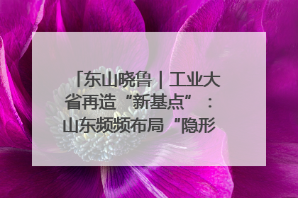 东山晓鲁｜工业大省再造“新基点”：山东频频布局“隐形冠军”背后