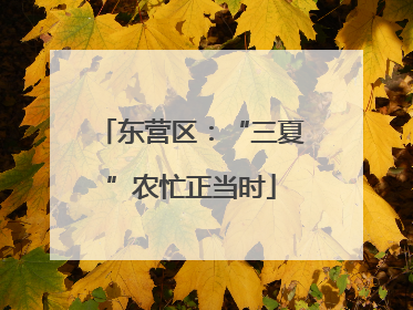 东营区：“三夏”农忙正当时
