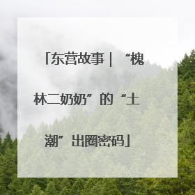 东营故事｜“槐林二奶奶”的“土潮”出圈密码