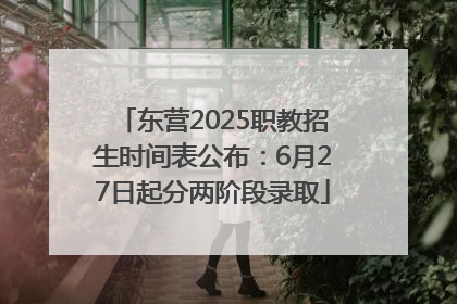 东营2025职教招生时间表公布：6月27日起分两阶段录取
