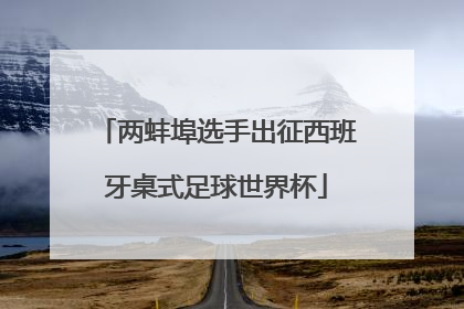 两蚌埠选手出征西班牙桌式足球世界杯