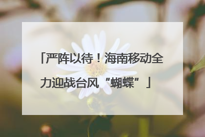 严阵以待！海南移动全力迎战台风“蝴蝶”