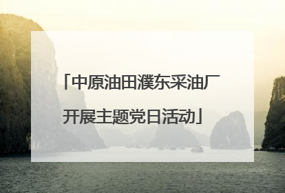 中原油田濮东采油厂开展主题党日活动