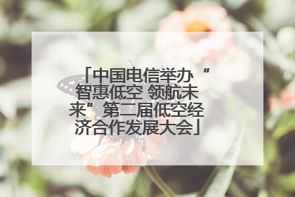 中国电信举办“智惠低空 领航未来”第二届低空经济合作发展大会