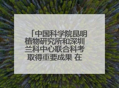 中国科学院昆明植物研究所和深圳兰科中心联合科考取得重要成果 在神农架发现两种“国保”级兰花