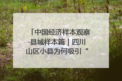 中国经济样本观察·县域样本篇｜四川山区小县为何吸引“村播”扎堆？