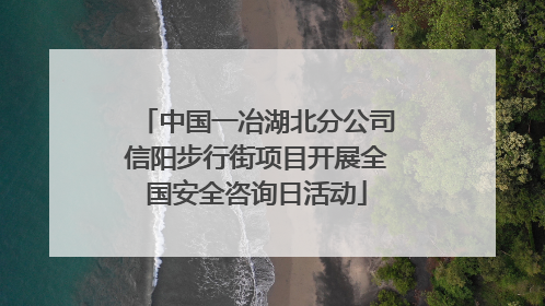 中国一冶湖北分公司信阳步行街项目开展全国安全咨询日活动