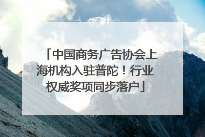 中国商务广告协会上海机构入驻普陀！行业权威奖项同步落户