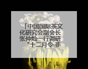 中国国际茶文化研究会副会长张仲灿一行调研“十二月令·非遗茶空间”