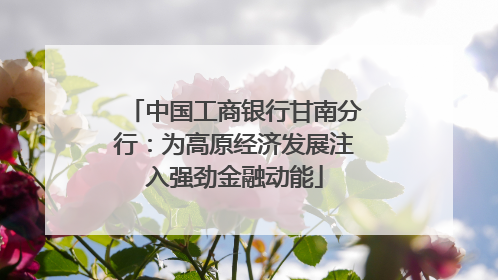 中国工商银行甘南分行：为高原经济发展注入强劲金融动能