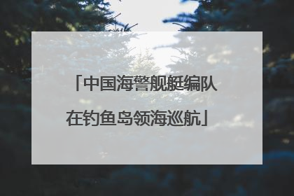 中国海警舰艇编队在钓鱼岛领海巡航