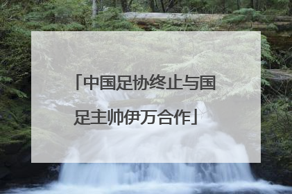 中国足协终止与国足主帅伊万合作
