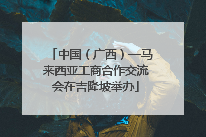 中国（广西）—马来西亚工商合作交流会在吉隆坡举办