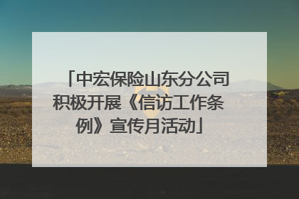 中宏保险山东分公司积极开展《信访工作条例》宣传月活动