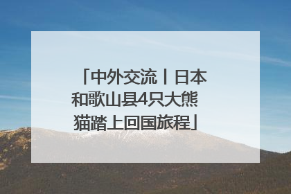 中外交流丨日本和歌山县4只大熊猫踏上回国旅程