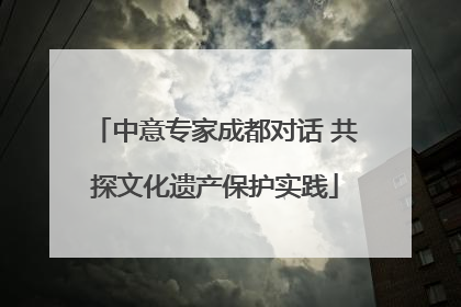 中意专家成都对话 共探文化遗产保护实践