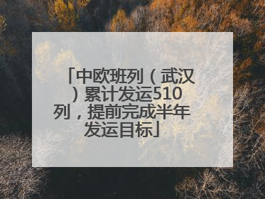 中欧班列（武汉）累计发运510列，提前完成半年发运目标