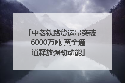 中老铁路货运量突破6000万吨 黄金通道释放强劲动能