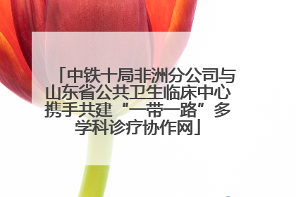 中铁十局非洲分公司与山东省公共卫生临床中心携手共建“一带一路”多学科诊疗协作网
