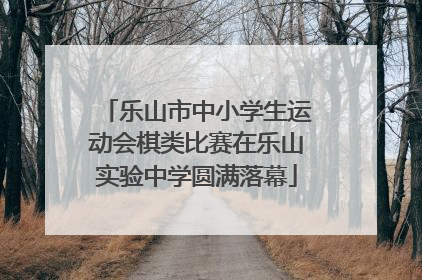 乐山市中小学生运动会棋类比赛在乐山实验中学圆满落幕