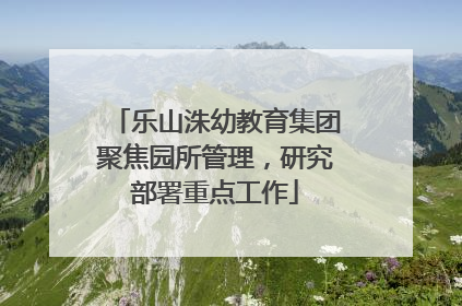 乐山洙幼教育集团聚焦园所管理，研究部署重点工作