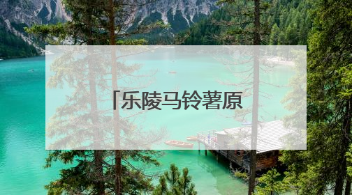 乐陵马铃薯原原种获丰收