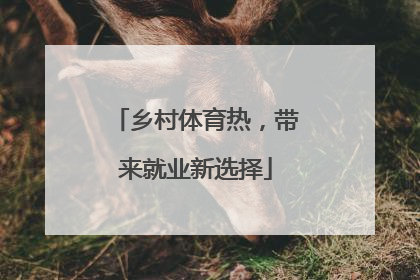 乡村体育热，带来就业新选择