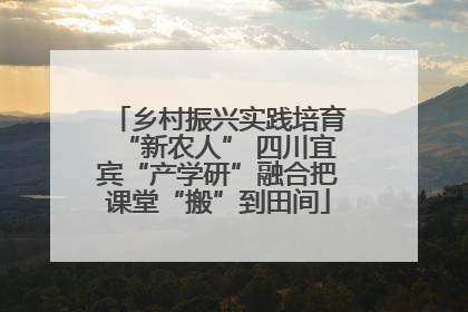 乡村振兴实践培育“新农人” 四川宜宾“产学研”融合把课堂“搬”到田间