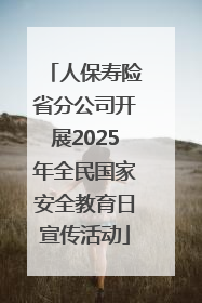 人保寿险省分公司开展2025年全民国家安全教育日宣传活动