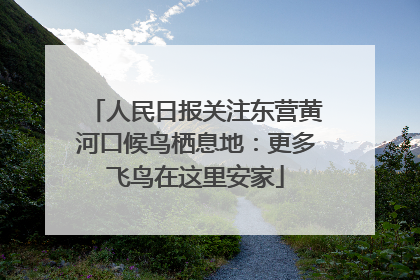 人民日报关注东营黄河口候鸟栖息地：更多飞鸟在这里安家