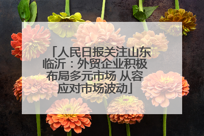 人民日报关注山东临沂：外贸企业积极布局多元市场 从容应对市场波动