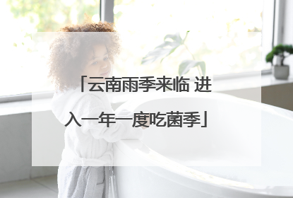 云南雨季来临 进入一年一度吃菌季