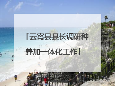 云霄县县长调研种养加一体化工作