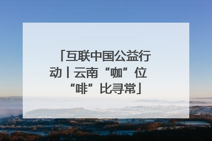 互联中国公益行动丨云南“咖”位“啡”比寻常