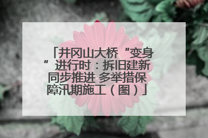 井冈山大桥“变身”进行时：拆旧建新同步推进 多举措保障汛期施工（图）