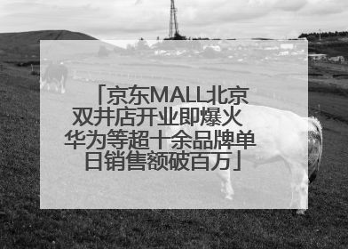 京东MALL北京双井店开业即爆火 华为等超十余品牌单日销售额破百万