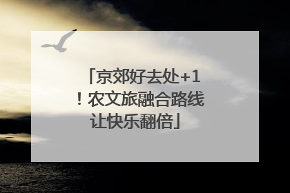 京郊好去处+1！农文旅融合路线让快乐翻倍