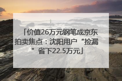 价值26万元钢笔成京东拍卖焦点：沈阳用户“捡漏”省下22.5万元
