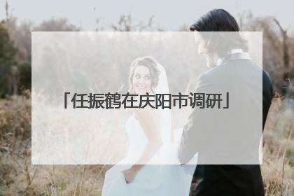 任振鹤在庆阳市调研