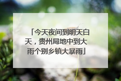今天夜间到明天白天，贵州局地中到大雨个别乡镇大暴雨