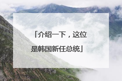 介绍一下，这位是韩国新任总统
