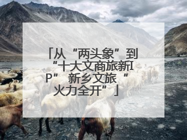 从“两头象”到“十大文商旅新IP” 新乡文旅“火力全开”
