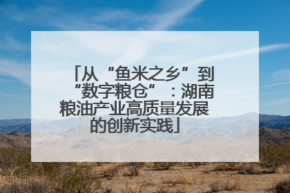 从“鱼米之乡”到“数字粮仓”：湖南粮油产业高质量发展的创新实践